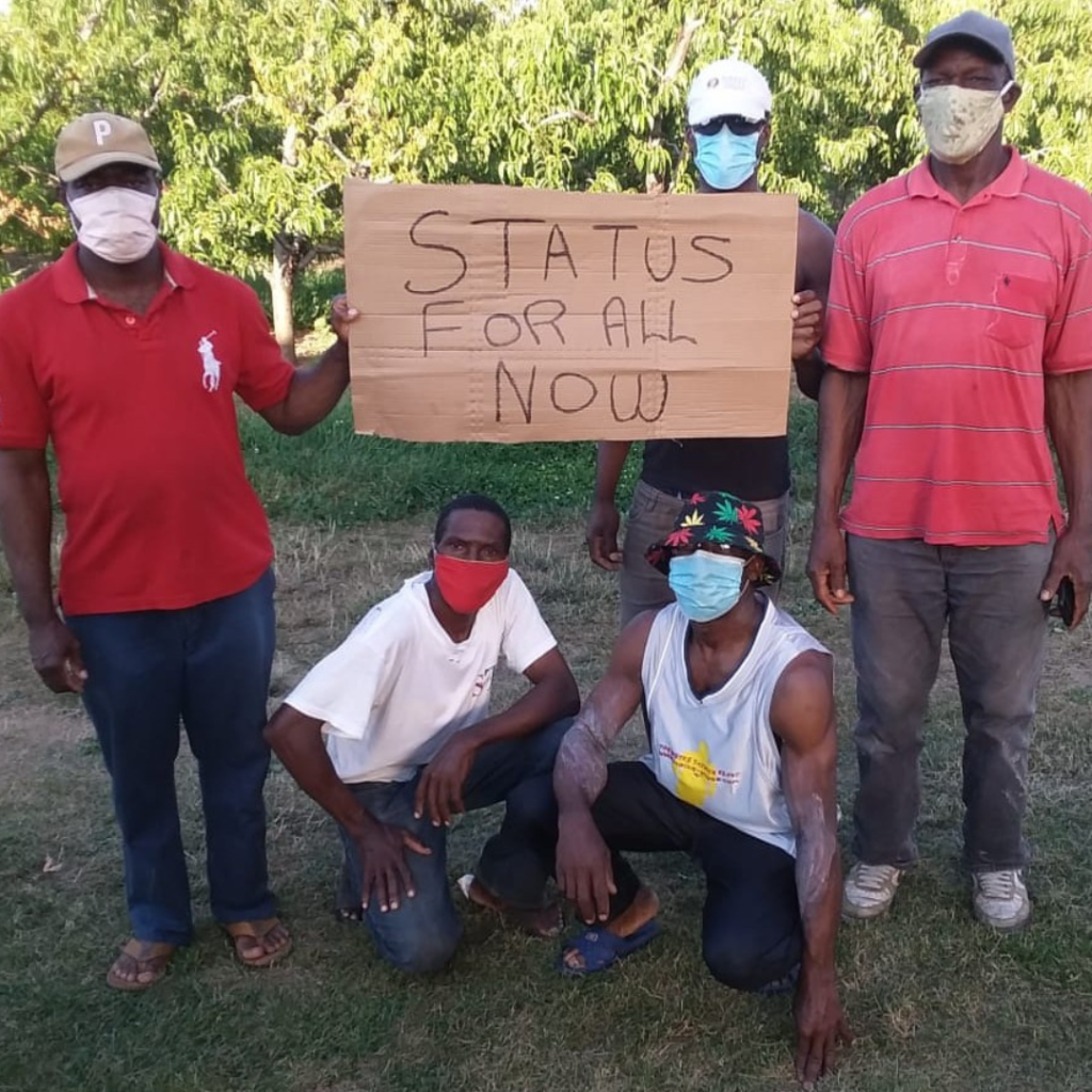 Migrant workers in Canada face terrible living and working conditions. Several Jamaican migrants have died recently while working on Ontario farms.